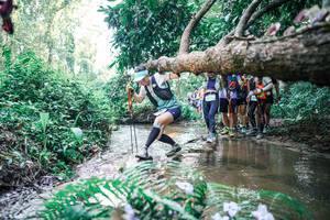 BIB: 
                            <button type="button" onclick="openModal(25465988)" class="btn btn-primary btn-sm float-right btn-popup" data-toggle="modal" data-target=".modal-high-quality">
                        <i class="fas fa-shopping-cart"></i> Add to Cart
                    </button>
                                            <button type="button" onclick="isThisMe(25465988, true)" class="btn btn-success btn-sm float-right btn-popup btn-isme hidden" data-toggle="tooltip" data-placement="bottom" title="นี่คือรูปของคุณใช่ไหม คลิกที่นี่เพื่อเอาเข้าอัลบั้ม">
                        <i class="fas fa-plus"></i> Add to album
                    </button>
                    <button type="button" onclick="isThisMe(25465988, false)" class="btn btn-warning btn-sm float-right btn-popup btn-isnotme hidden">
                        <i class="fas fa-ban"></i> Remove from album
                    </button>